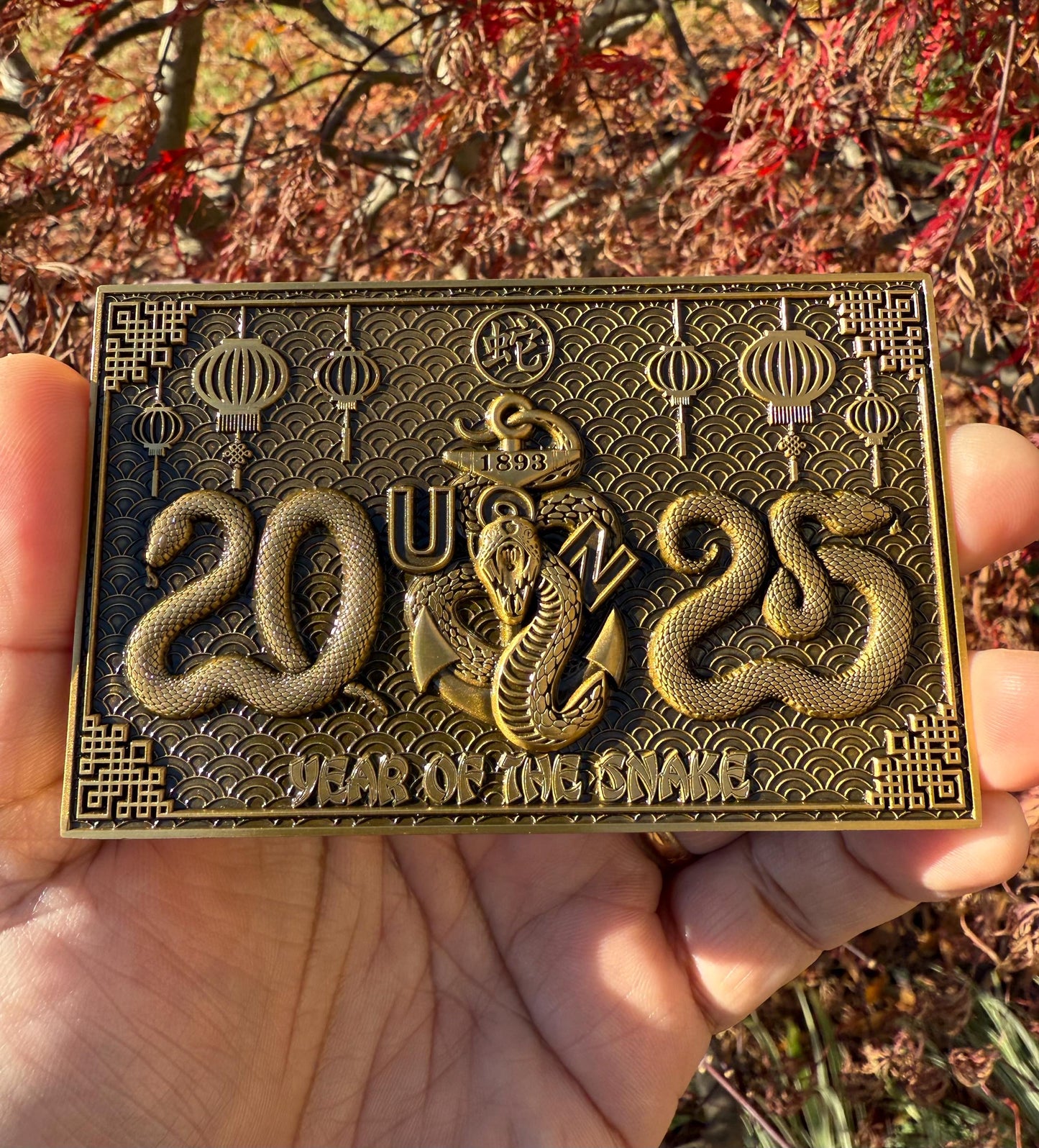 Chinese New Year 2025 Year of the Snake Challenge Coins