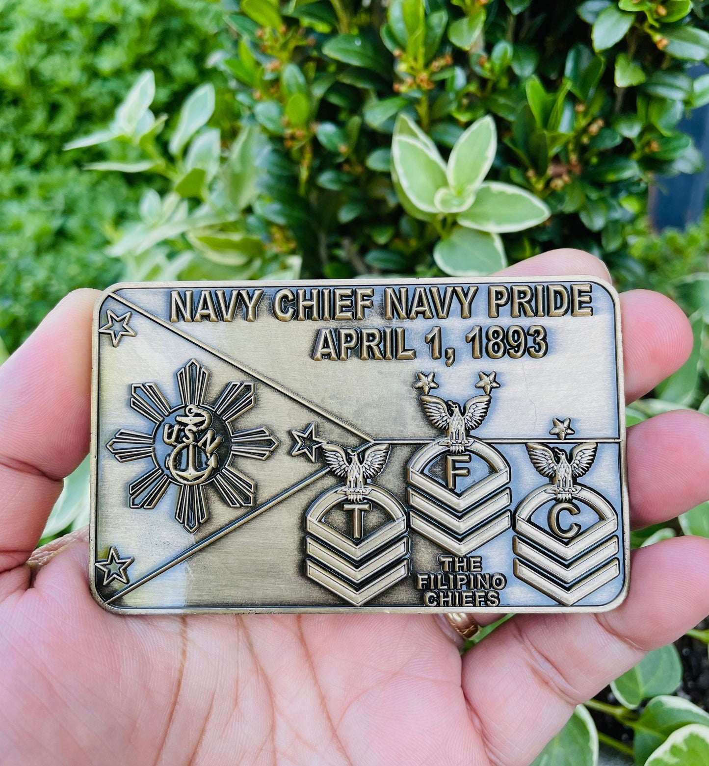 USN TFC Antique Gold Challenge Coin