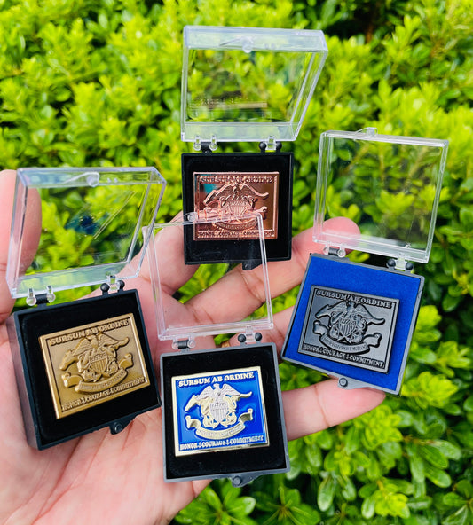 USN Mustang Lapel Pins