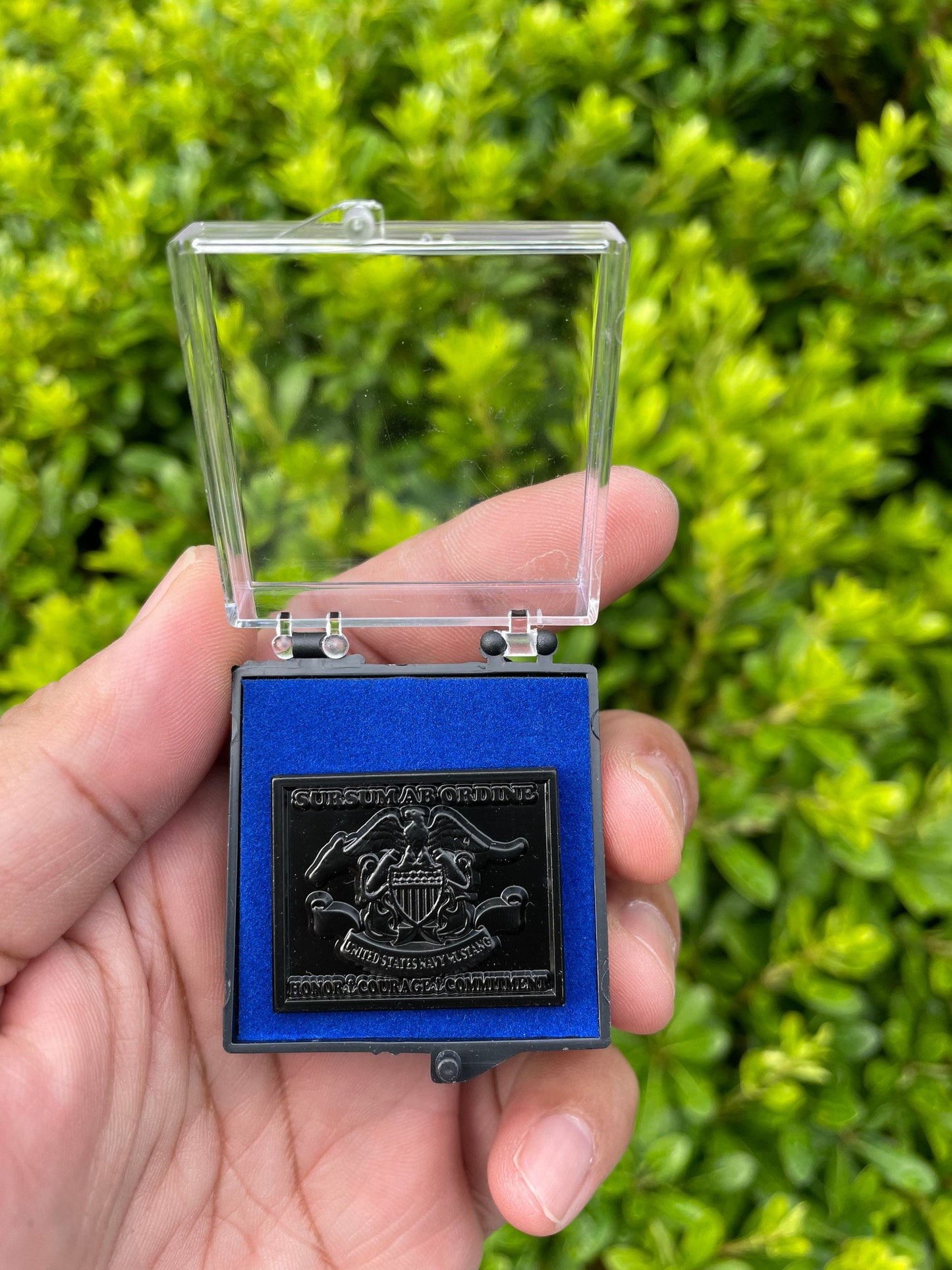 USN Mustang Lapel Pins