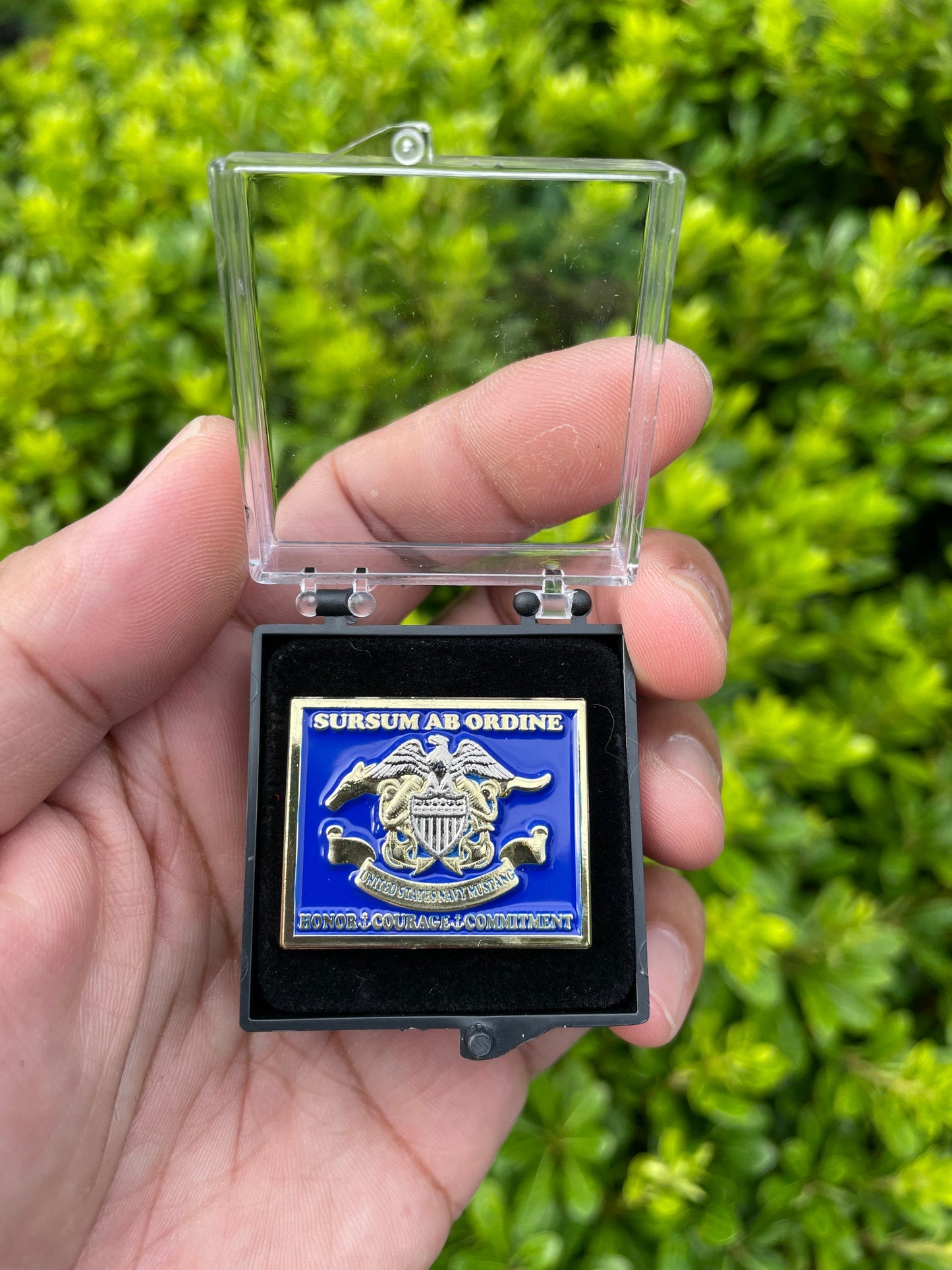 USN Mustang Lapel Pins