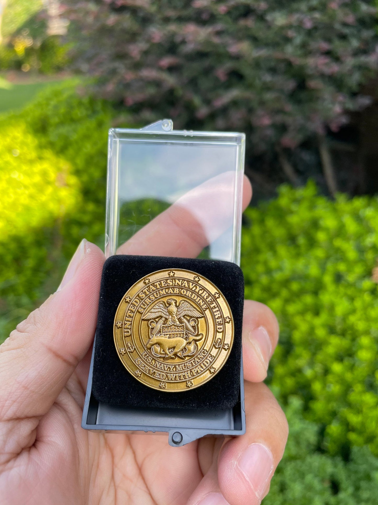 USN Retired Mustang Lapel Pins