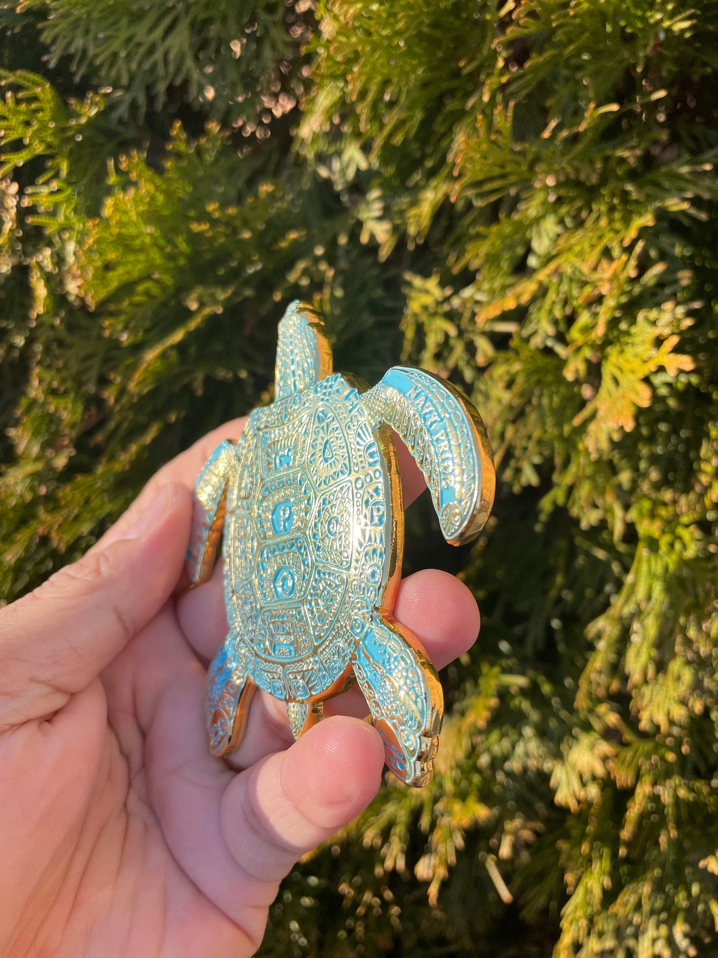 3.5” 130th CPO Birthday Turtle Pride Coin Teal & Gold