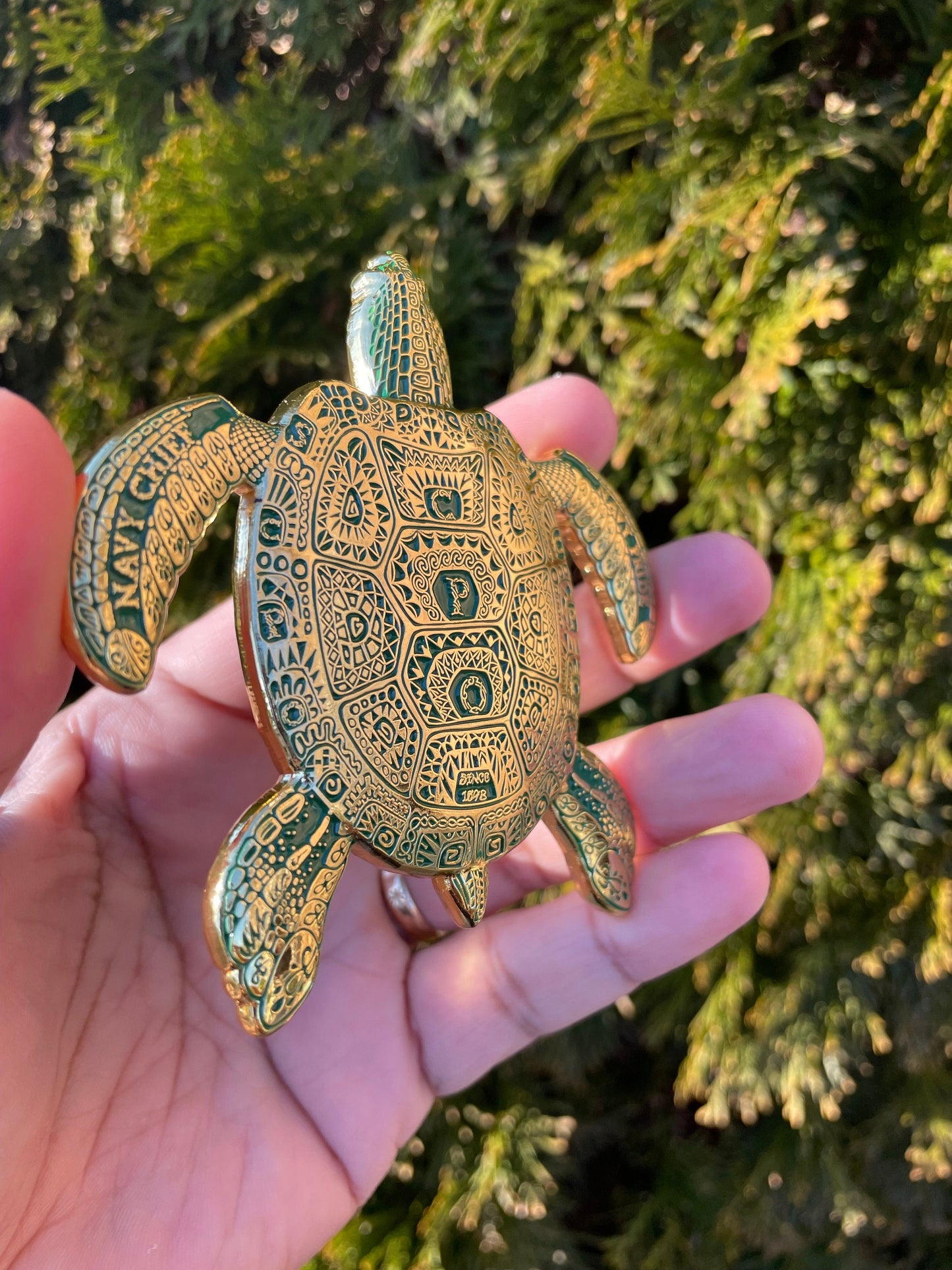 3.5” 130th CPO Birthday Turtle Pride Coin Green & Gold