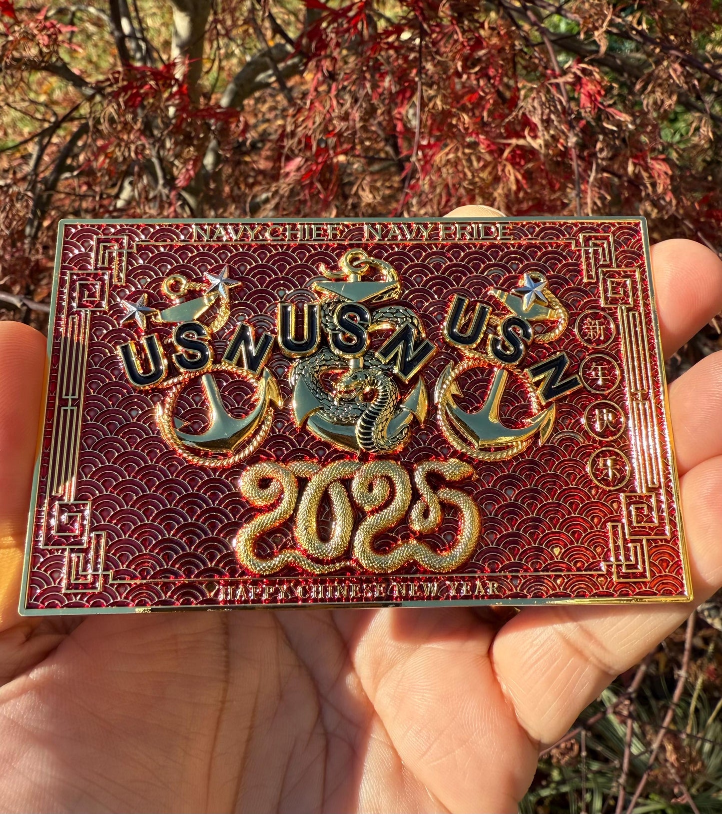 Chinese New Year 2025 Year of the Snake Challenge Coins
