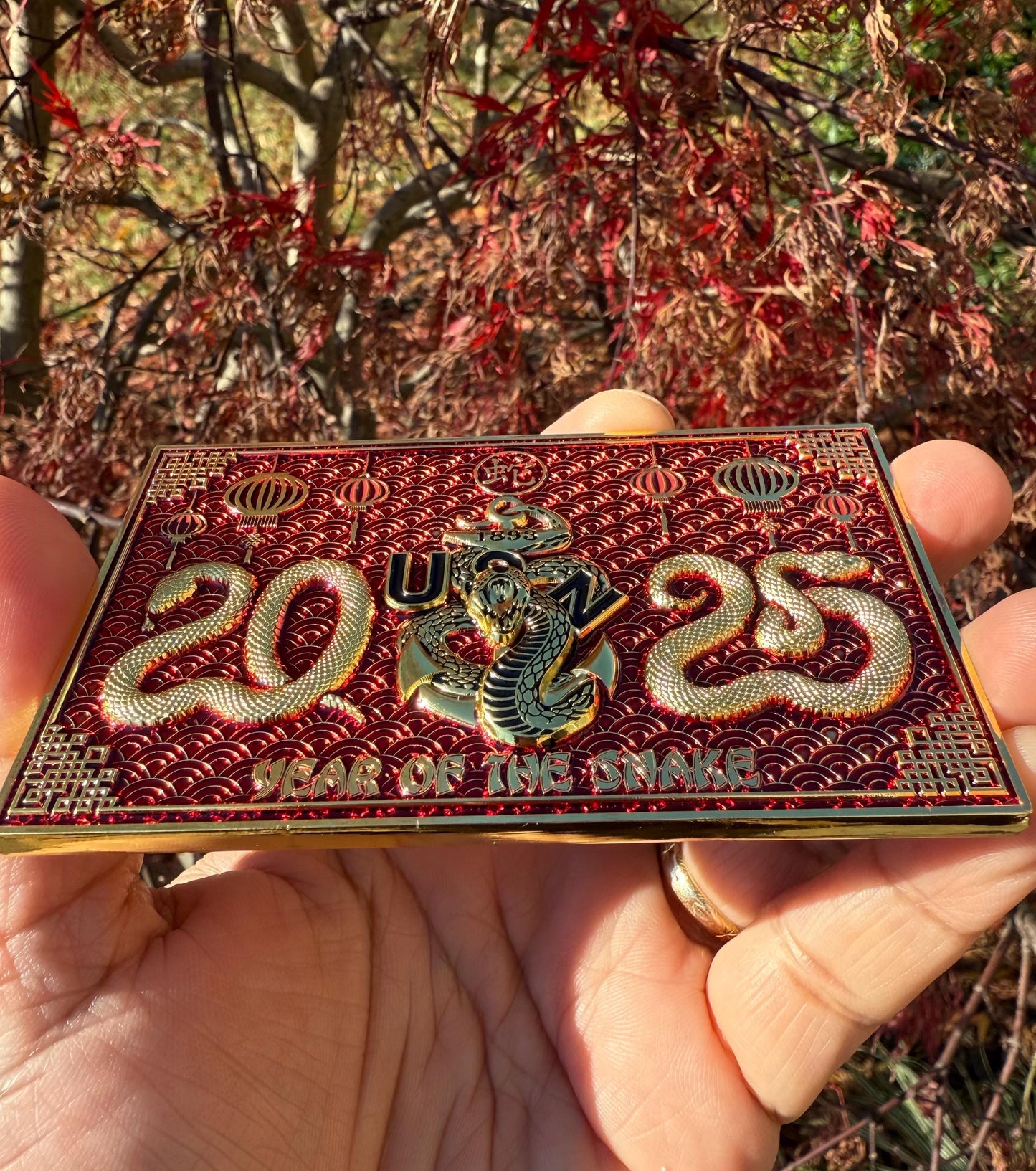 Chinese New Year 2025 Year of the Snake Challenge Coins