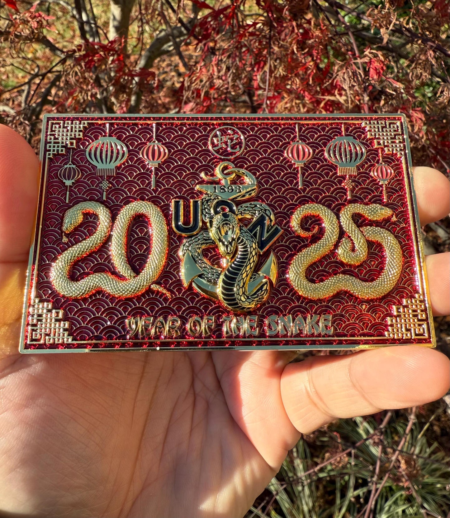 Chinese New Year 2025 Year of the Snake Challenge Coins